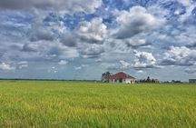 Paddy Field, Fishing Village Sekinchan DAY Tour Lunch (SIC-Shared/Join In Tour)