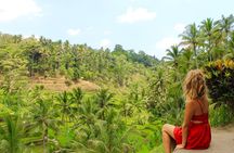 Best of Bali in 3 Days - Private Tour Package