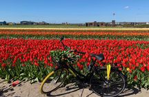 Enjoy the tulip fields by bicycle with a local guide! Tulip bike tour!