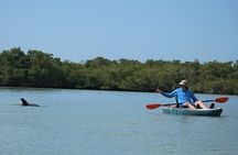 Nauti Exposures - Kayak rental Naples, FL