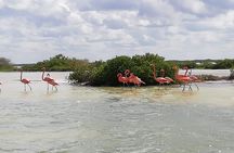 TULAKA PINK ADVENTURE Rio Lagartos & Las Coloradas, The Pink Lakes of Mexico 