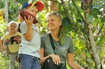 Coffee & Chocolate Private Tour in Medellin: Genuine Experience 