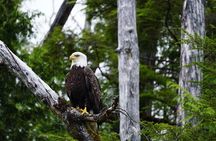 Alaska Ocean Wilderness Expedition 