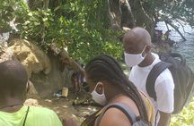 Dunn's Falls Half-Day Tour from Runaway Bay