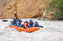Denali Rafting Canyon Wave 