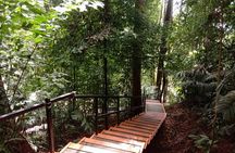 Taman Negara National Park Day Tour (SIC - Join In Tour)