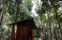 Taman Negara National Park Day Tour (SIC - Join In Tour)