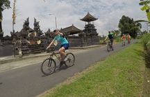 Kintamani Cultural and Nature Cycling Tour ( Manual Bike )