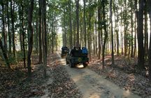 Nagpur to Vizag Tribal Villages & Tiger Safari