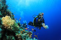 Introduction into diving (half day, 2 dives, no cert)