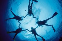 Introduction into diving (half day, 2 dives, no cert)