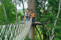 Samui Zipline Explore and Connect with Nature