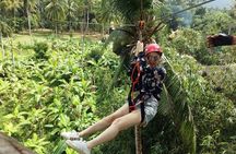 Samui Zipline Explore and Connect with Nature