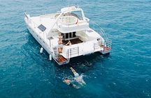 CATAMARAN OCEAN CRUISE TOUR, Food & Drinks included!