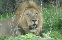 5 Days amazing tour to the Southern Circuit of Tanzania