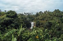 Best of Bali Waterfalls. Part 1