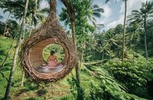 Best of Ubud: Private All-Inclusive Tour with Jungle Swing
