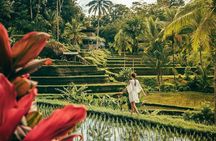 Best of Ubud: Private All-Inclusive Tour with Jungle Swing