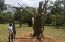 Aburi Gardens and Tetteh Quarshie Farms