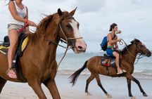 Horseback Riding in Punta Cana 