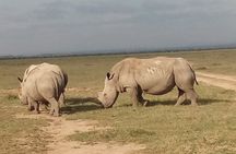 5 Days Safari to Samburu N/R Ol Pejeta Conservancy Hells Gate N/P, Lake Naivasha