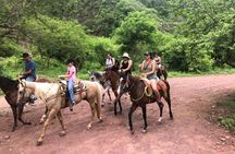 Horseback Riding Experience in Sierra Madre Mountains