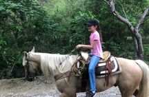 Horseback Riding Experience in Sierra Madre Mountains