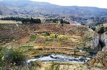 Colca Canyon Tour 2d Short hiking +Overnight in small village Ending in Arequipa