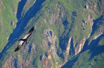Colca Canyon Tour 2d Short hiking +Overnight in small village Ending in Arequipa