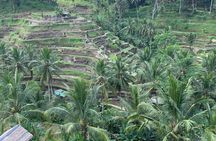 Bali Car Hire with Private Chauffeur