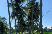 Best of Ubud & Mount Batur Volcano Private Bali Tour
