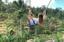 Best of Ubud & Mount Batur Volcano Private Bali Tour
