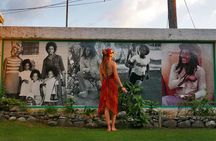 Bob Marley Museum Full Day Tour from Montego bay