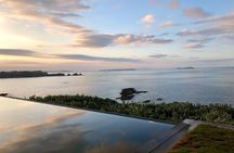 Premium Full Day Waiheke Wine Tour