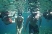 Private Mykonos Nature Tour by Minibus 
