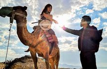 Cappadocia Camel Ride