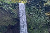 Best of Ubud & Mount Batur Volcano Private Bali Tour