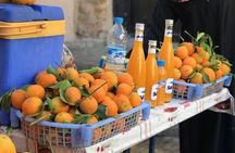 Chefchaouen " The blue city " Private Cultural Tour "Full Day trip from Tangier"