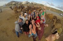 Tetouan and Chefchaouen private tour “ Day tour from Tangier “
