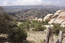  3 Days Jordan Fun & Activity Tour