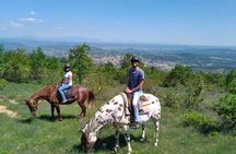 Horse ride in Haute Provence Luberon and Forcalquier
