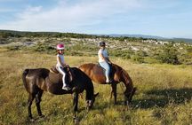 Horse ride in Haute Provence Luberon and Forcalquier