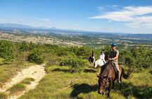 Horse ride in Haute Provence Luberon and Forcalquier