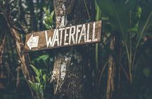 Best of Ubud Waterfalls Private Tour