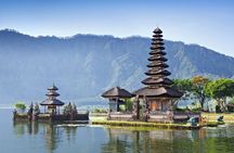 Water Temples and UNESCO Rice Terraces Private Bali Tour 