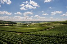 A unique sensory experience in the vineyards
