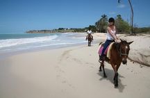 Half-Day Beach Horse Back Riding in Puerto Plata