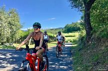 E-Bike Tour and Wine Tasting in Lazise