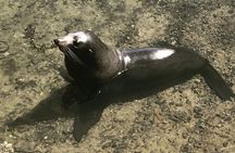 South Coast Nature Tour