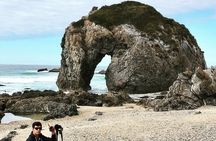 South Coast Nature Tour